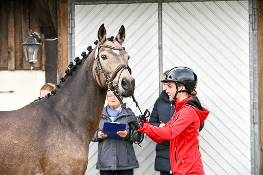  | Verfassung Ströhen _001 