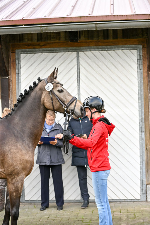  | Verfassung Ströhen _002 