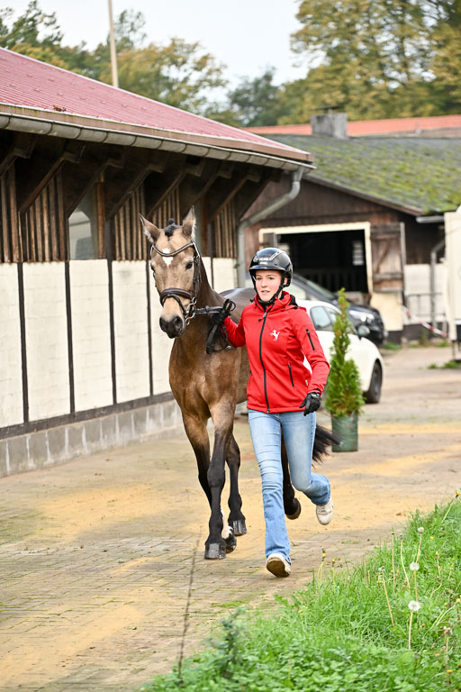  | Verfassung Ströhen _003 