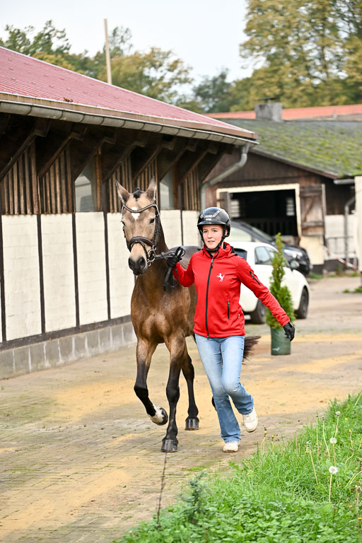  | Verfassung Ströhen _004 