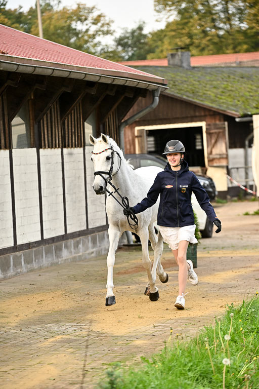  | Verfassung Ströhen _005 