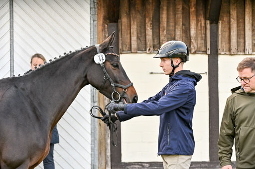  | Verfassung Ströhen _011 