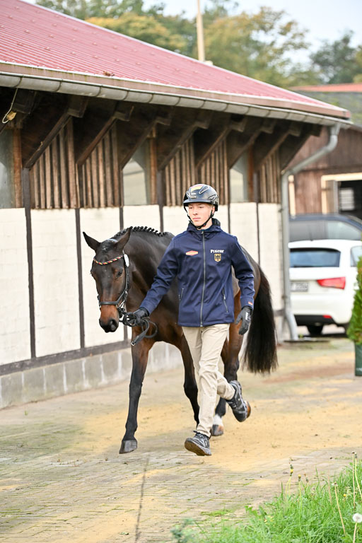  | Verfassung Ströhen _012 