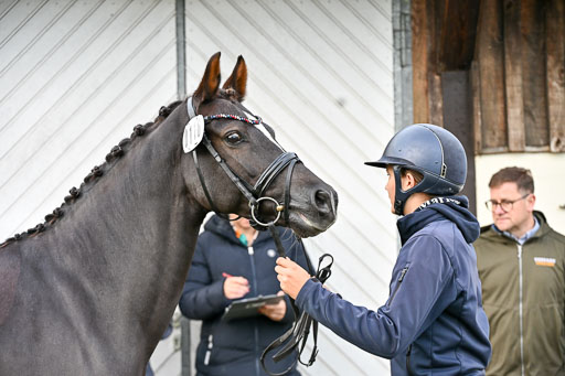  | Verfassung Ströhen _014 