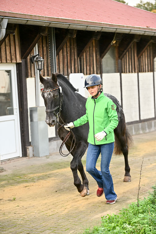  | Verfassung Ströhen _019 