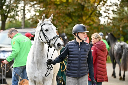  | Verfassung Ströhen _020 