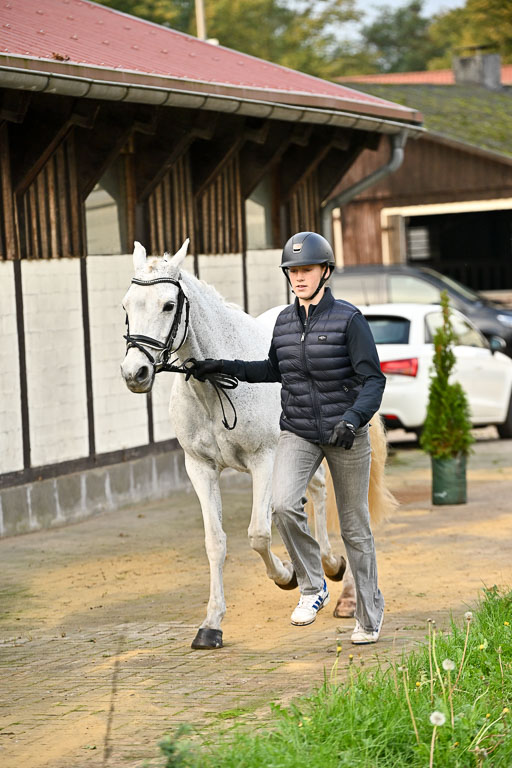  | Verfassung Ströhen _022 