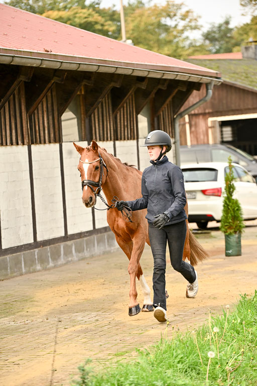  | Verfassung Ströhen _027 