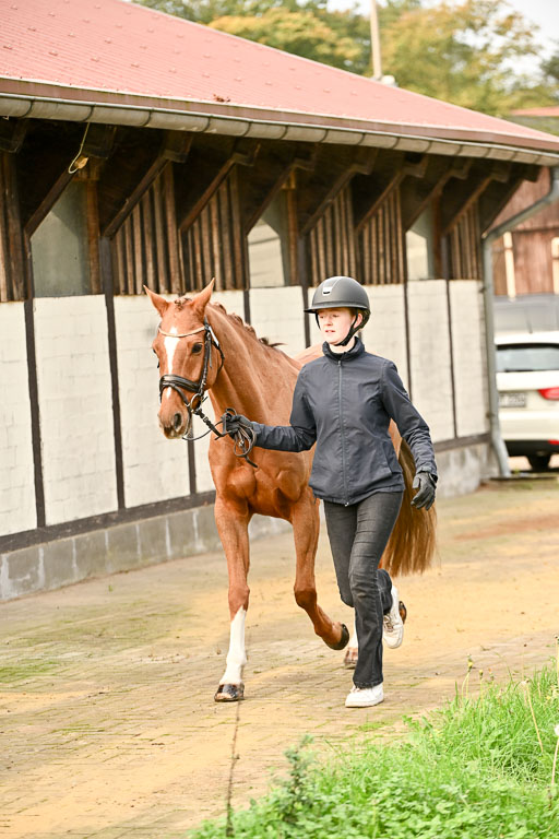  | Verfassung Ströhen _028 