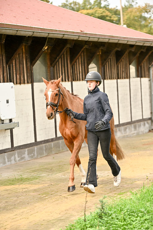  | Verfassung Ströhen _029 