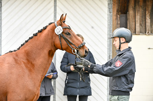  | Verfassung Ströhen _030 