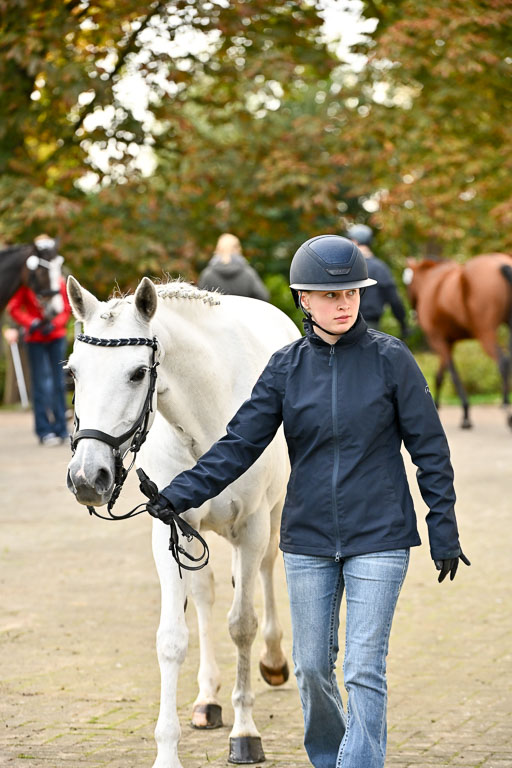  | Verfassung Ströhen _034 