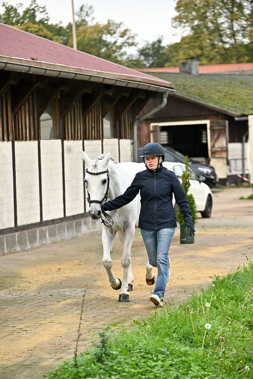  | Verfassung Ströhen _035 