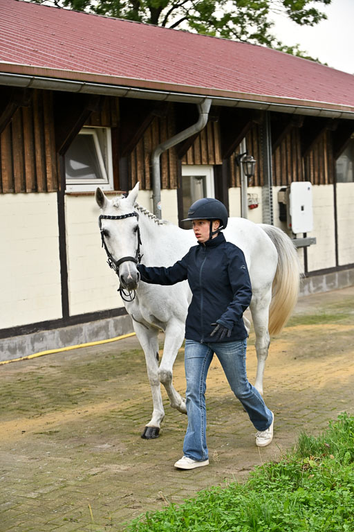  | Verfassung Ströhen _037 