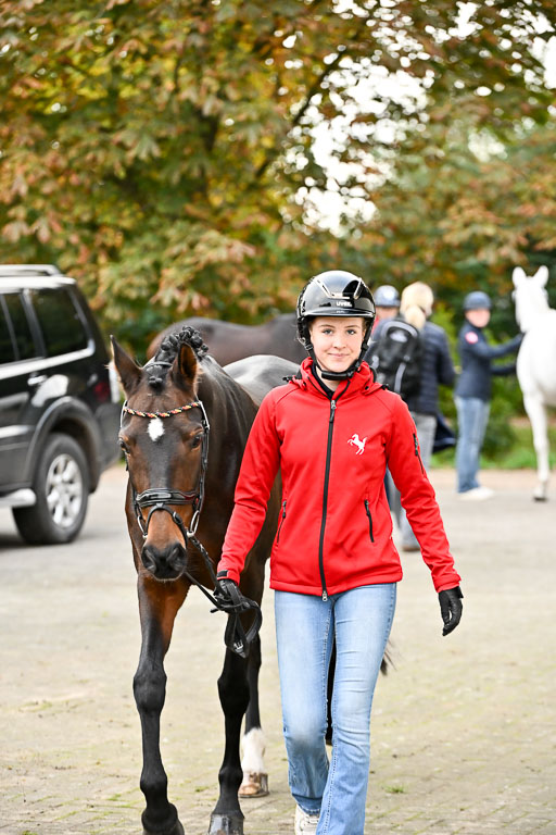  | Verfassung Ströhen _040 