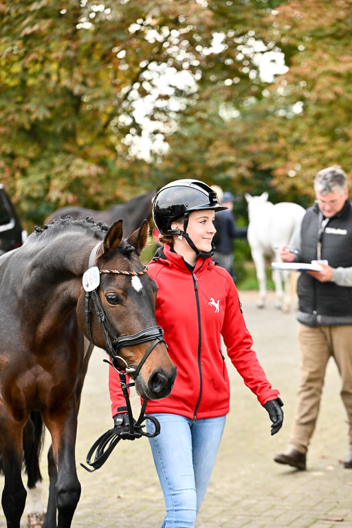  | Verfassung Ströhen _041 