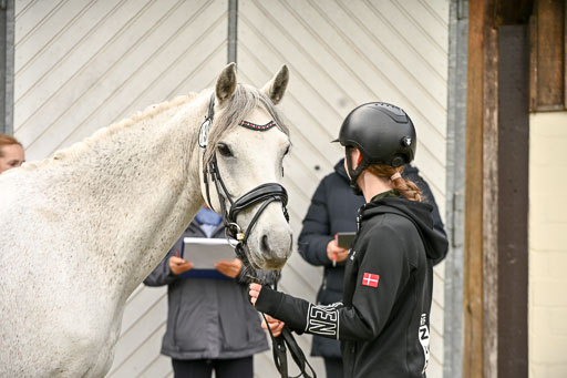  | Verfassung Ströhen _047 