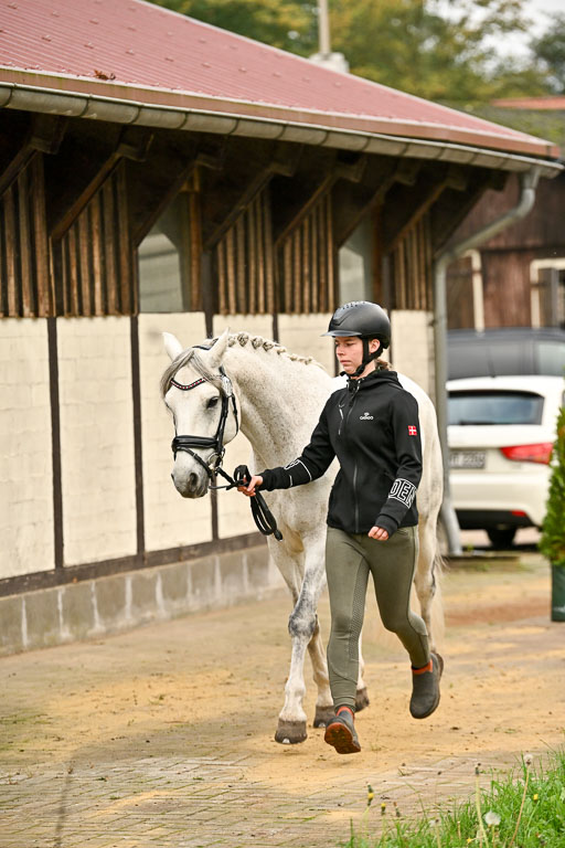  | Verfassung Ströhen _048 