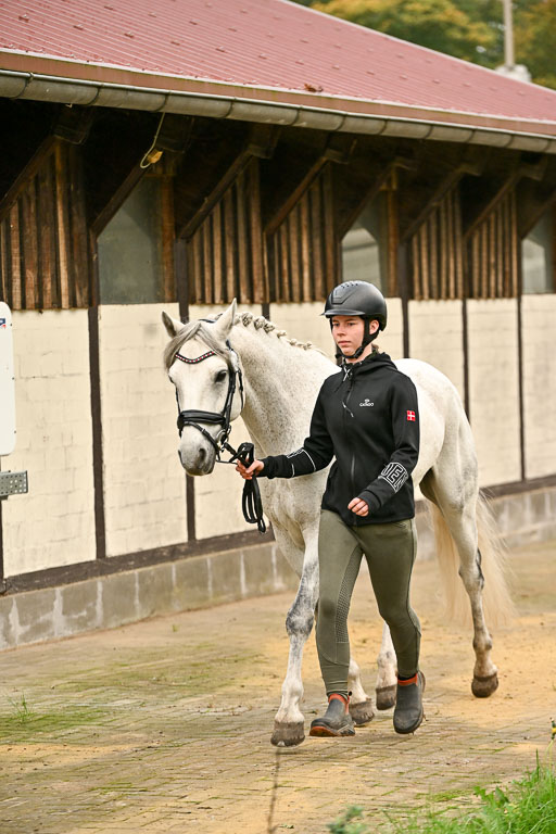  | Verfassung Ströhen _049 