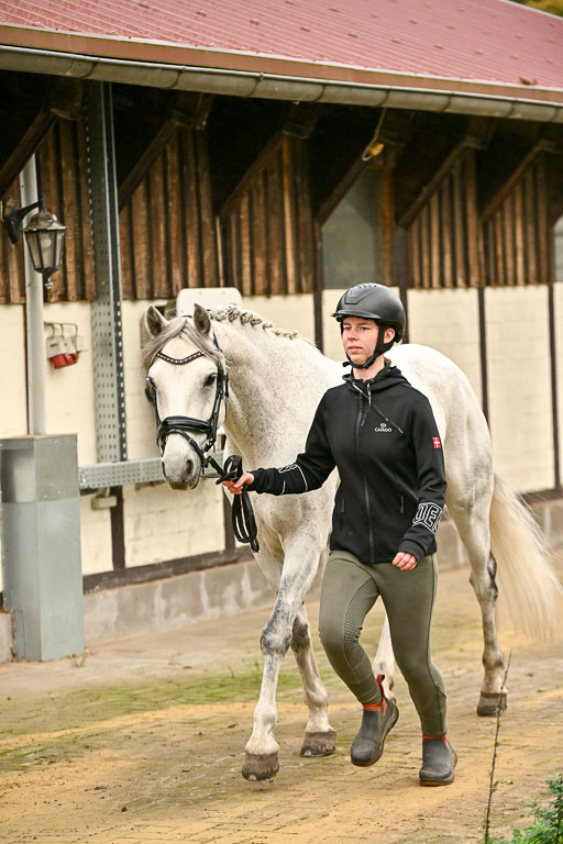  | Verfassung Ströhen _050 