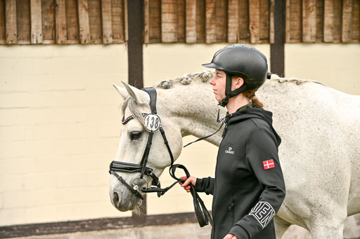  | Verfassung Ströhen _051 