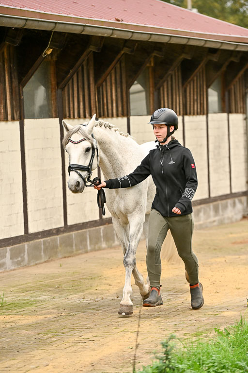  | Verfassung Ströhen _052 