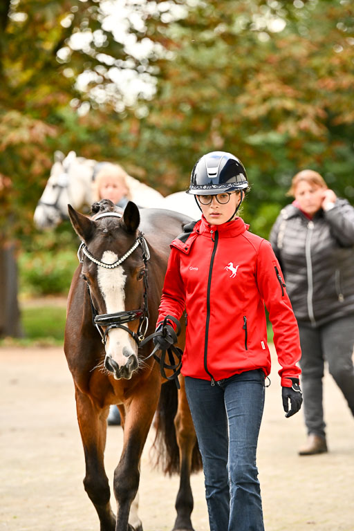  | Verfassung Ströhen _053 