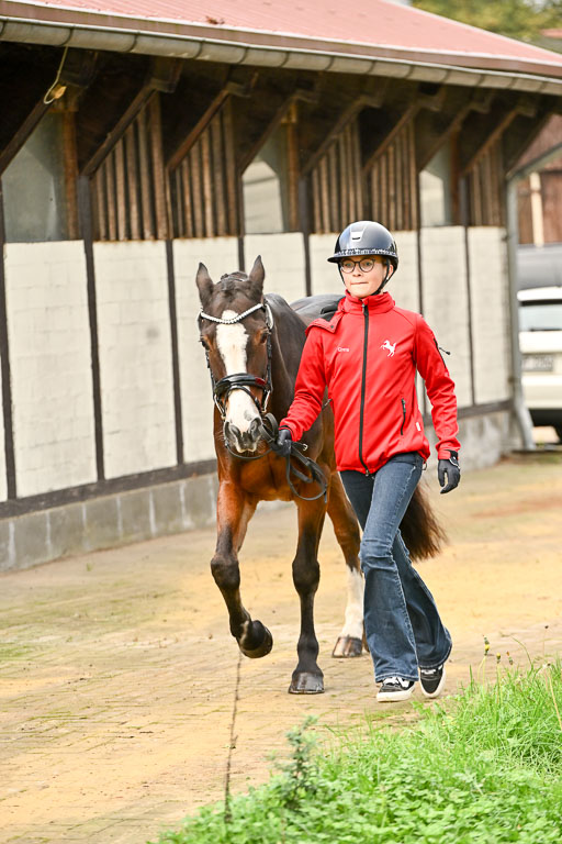  | Verfassung Ströhen _056 