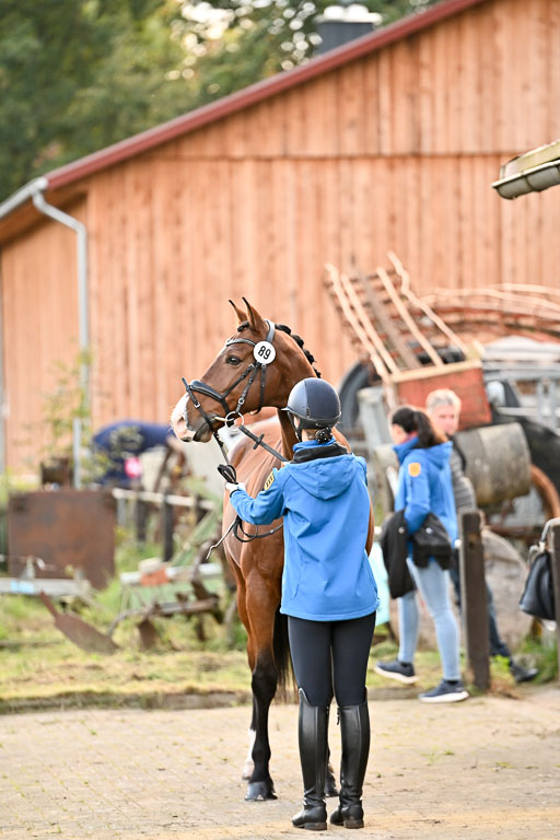  | Verfassung Ströhen _059 