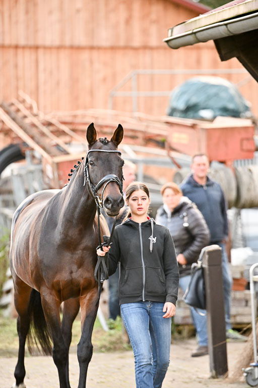  | Verfassung Ströhen _060 