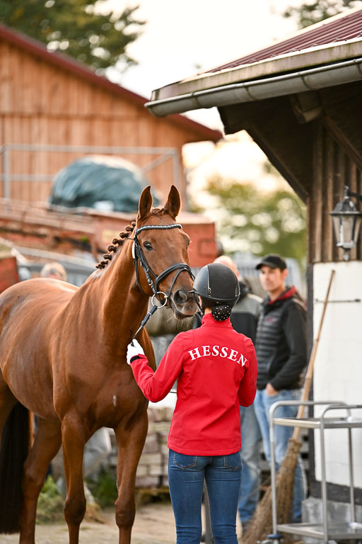  | Verfassung Ströhen _062 