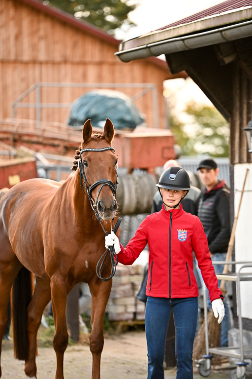  | Verfassung Ströhen _064 