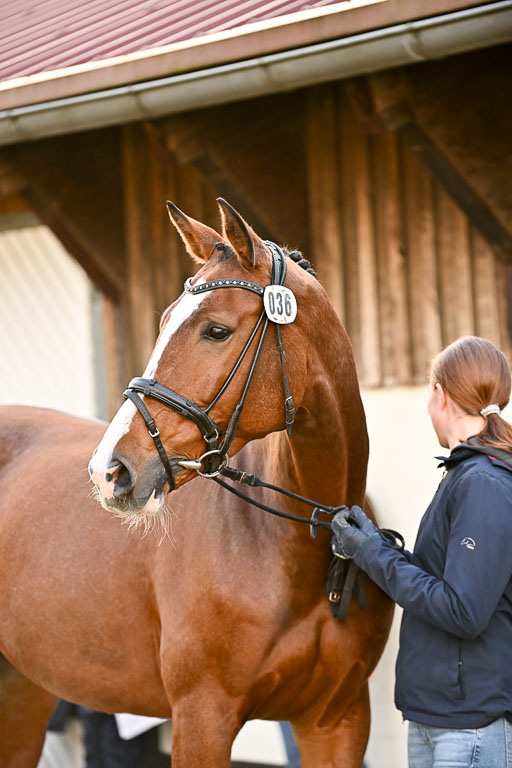  | Verfassung Ströhen _079 