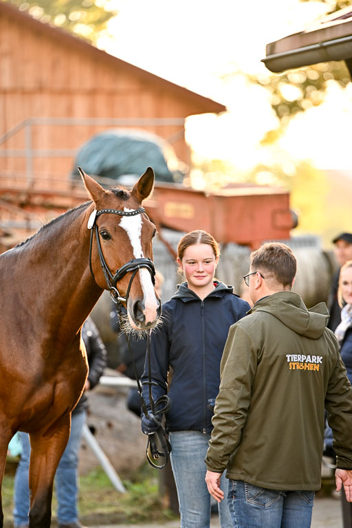  | Verfassung Ströhen _080 