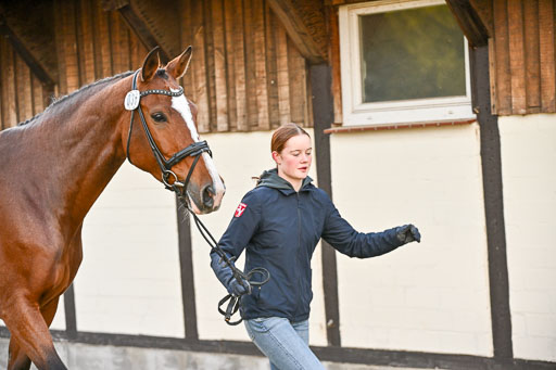  | Verfassung Ströhen _081 