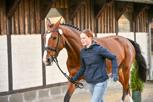  | Verfassung Ströhen _082 