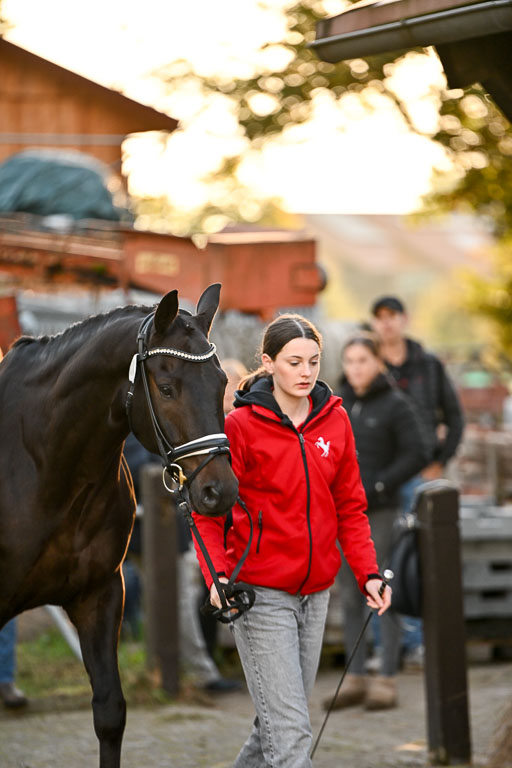 | Verfassung Ströhen _084 
