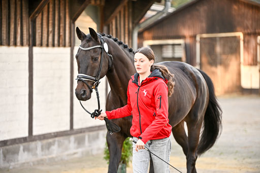  | Verfassung Ströhen _085 