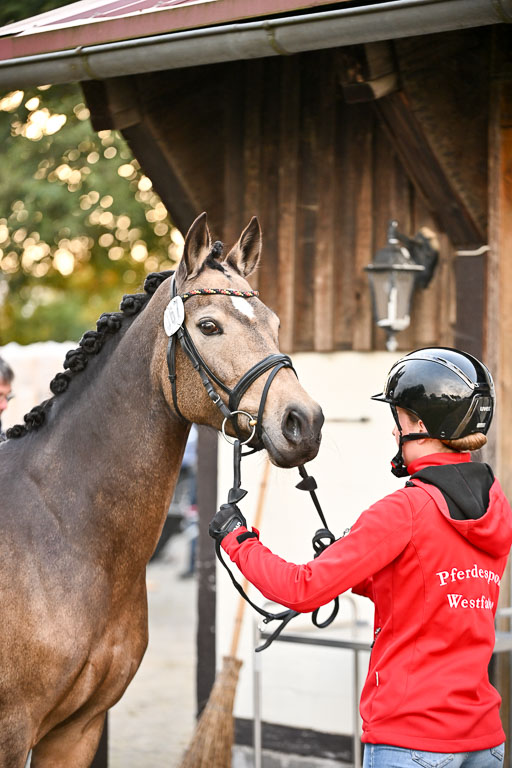  | Verfassung Ströhen _087 