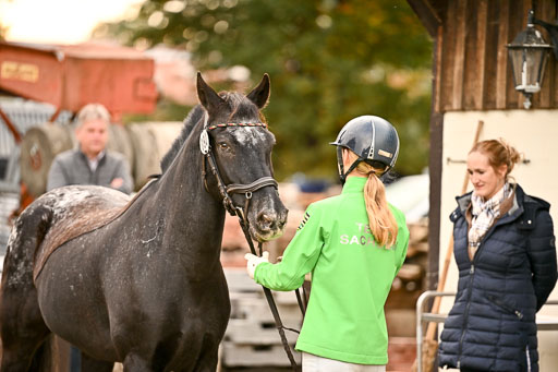  | Verfassung Ströhen _095 