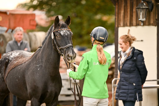  | Verfassung Ströhen _096 