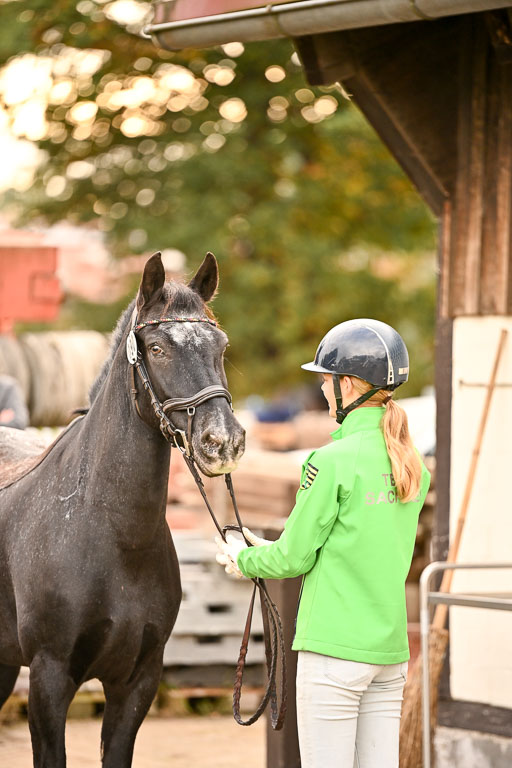  | Verfassung Ströhen _097 