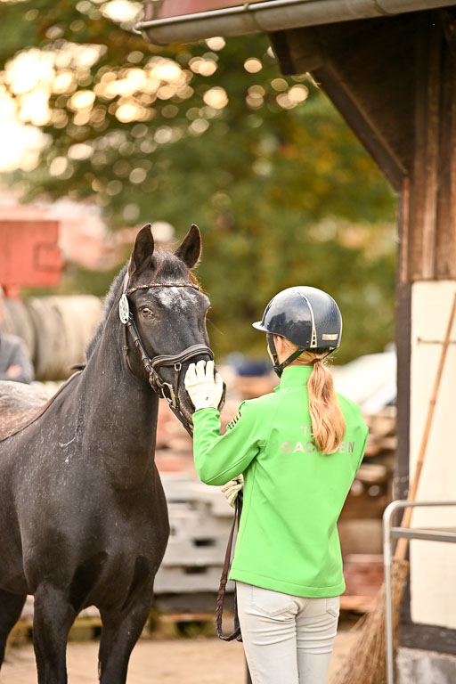  | Verfassung Ströhen _098 