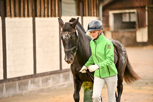  | Verfassung Ströhen _100 