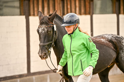  | Verfassung Ströhen _103 