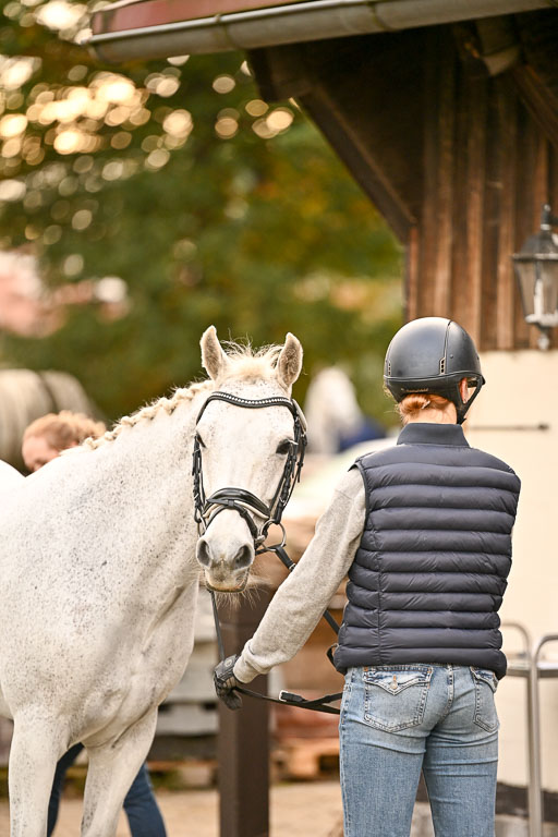  | Verfassung Ströhen _104 