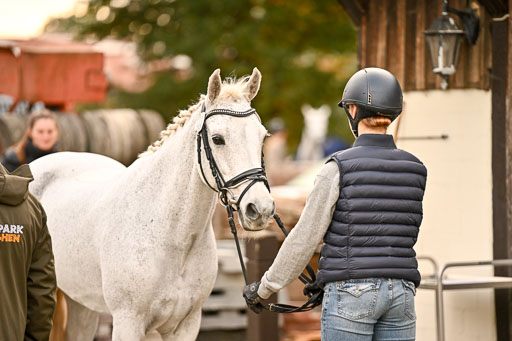  | Verfassung Ströhen _105 
