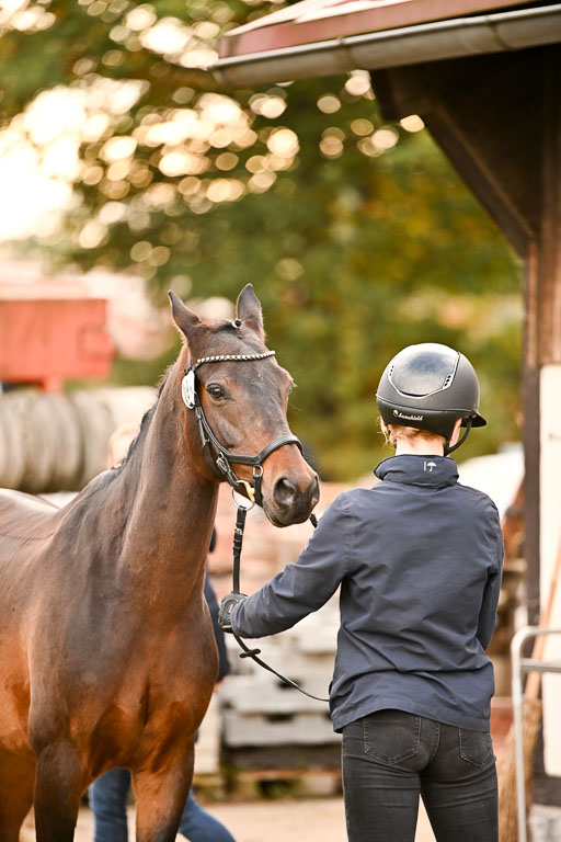  | Verfassung Ströhen _108 
