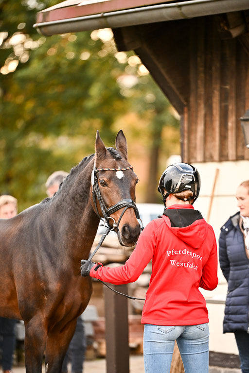  | Verfassung Ströhen _112 