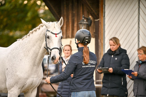  | Verfassung Ströhen _116 